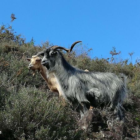 Вилла Casinha Do Joao No Geres Alamela Экстерьер фото